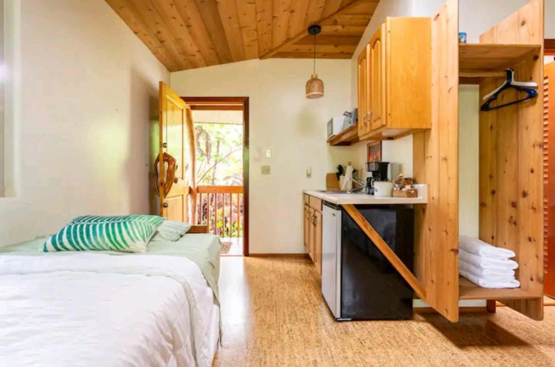 Kilauea Iki- Hale Kumu La'Au Apartamento Volcano Exterior foto